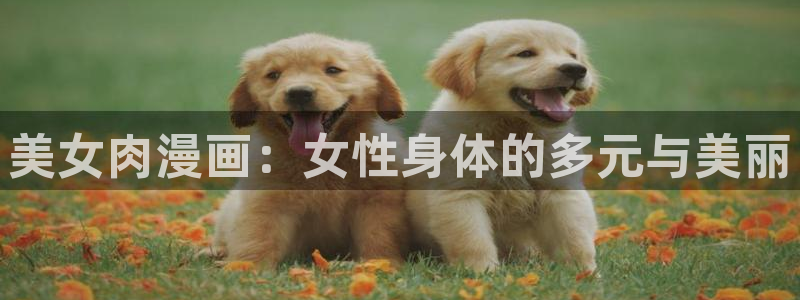 酷漫屋漫画：美女肉漫画：女性身体的多元与美丽