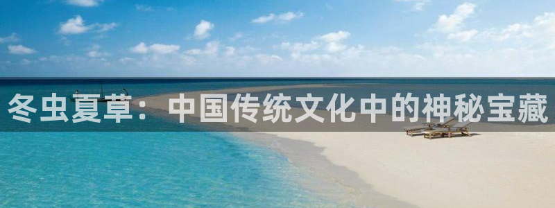 酷漫屋网入口页面：冬虫夏草：中国传统文化中的神秘宝藏